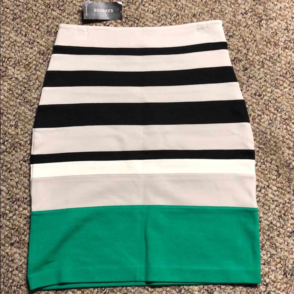 Express Pencil Skirt